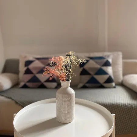 Apartamento F3 & Solferino Lille